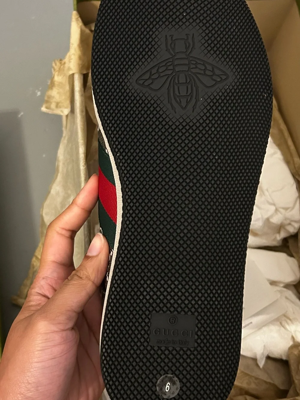 Gucci Brown GG Supreme Sneaker with Red & Green Web and White Laces
